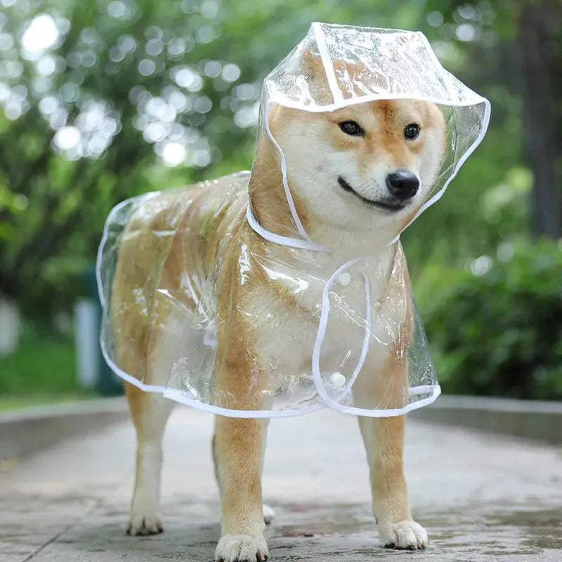 Chubasquero impermeable transparente para perros