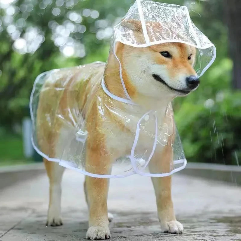 Chubasquero impermeable transparente para perros