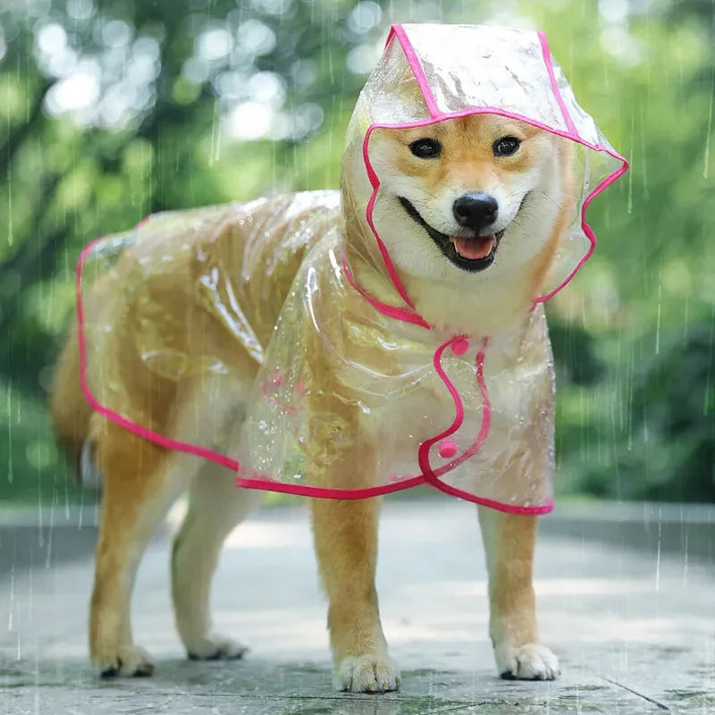 Chubasquero impermeable transparente para perros